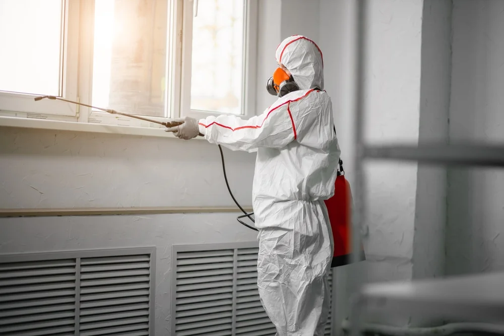 Professional mold remediation services in Port Charlotte, FL